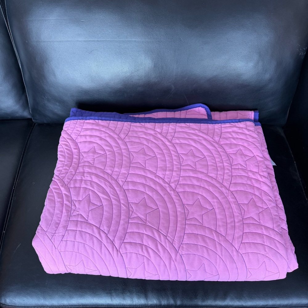 Crayola Pink and Purple Quilted Blanket